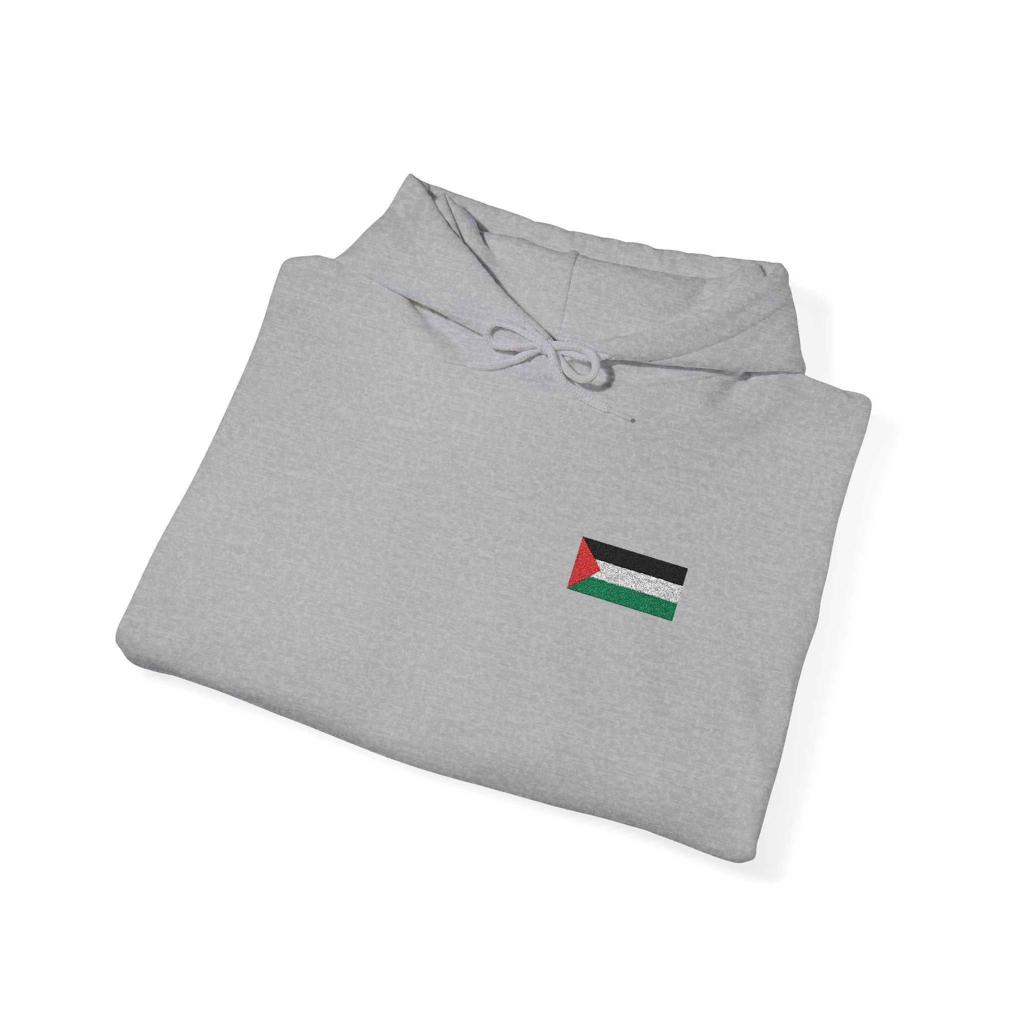 Palestine Rise