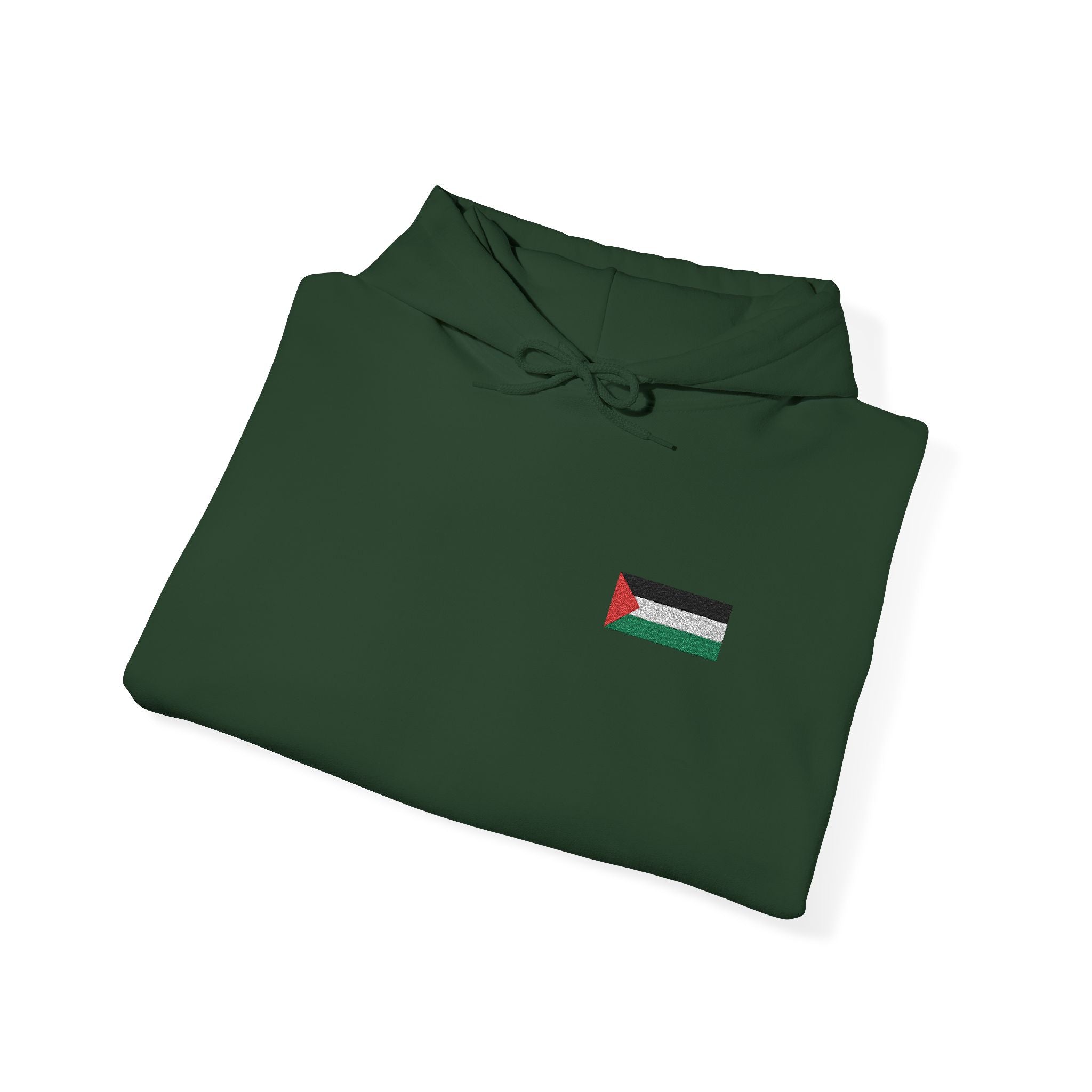 Palestine Rise