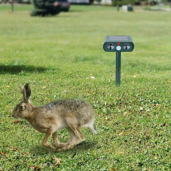 Ultrasonic Rat Repellents